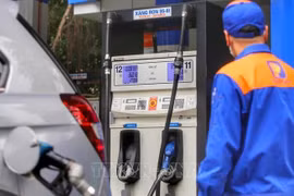 Petrol prices unchanged in latest adjustment