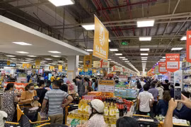 Vietnamese retail giants see opportunities in domestic market