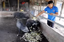 Soc Trang pumps money into Khmer areas to eliminate poverty