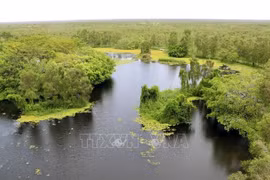 Tourists return to U Minh Thuong National Park