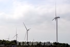 Vietnam, Australia share resolve in climate change response: expert