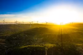 Renewable energy sources not fully tapped: experts