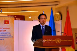 Vietnam contributes to UN Human Rights Council with meaningful messages: official