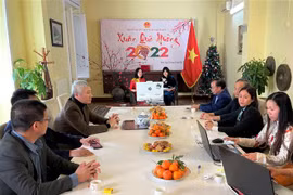 Overseas Vietnamese join events in celebration of upcoming Tet