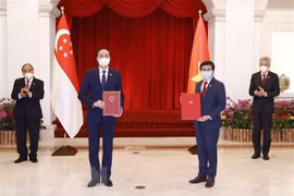 Vietnam Fatherland Front, People’s Association of Singapore step up cooperation
