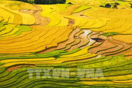 Vietnam nominated in 10 categories at World Travel Awards 2022