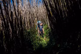First Vietnamese joins World Press Photo Contest jury