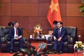 Vietnam creates favourable conditions for Hana Bank’s long-term investment: Deputy PM