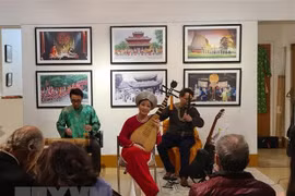 Cultural diplomacy brings Vietnamese, French people closer