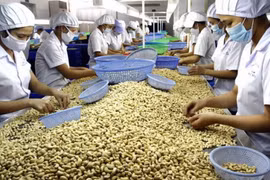 Cashew industry urged to focus on markets with FTAs