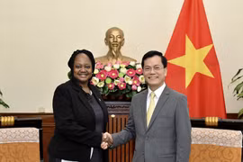 Vietnam ready to promote comprehensive partnership with US