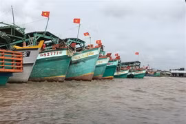 Ca Mau: all fishing vessels equipped with VMS equipment