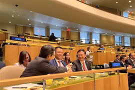 Vietnam’s respect for human rights recognised internationally: expert