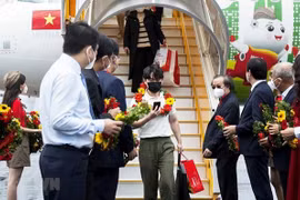 Vietnam welcomes nearly 9,000 international tourists under pilot programme