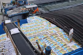 Vietnam – Laos trade up 20.6% in first half