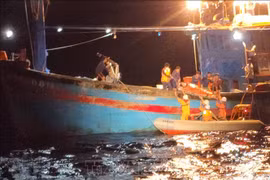 Fisherman saved after accident at sea