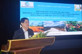 Central Highlands provinces adopt sustainable coffee production practices