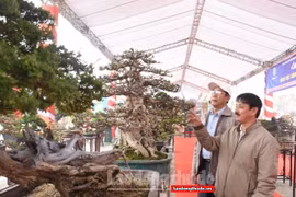 Hanoi: farm produce, handicrafts fair to take place this month