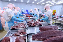 Tuna export to Canada soars