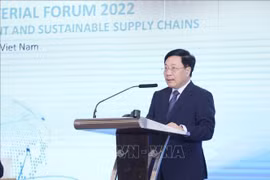 OECD Southeast Asia Ministerial Forum 2022 opens in Hanoi