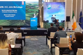 Ireland pledges to create breakthrough in Vietnam’s dairy sector