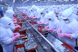 Vietnam’s aquatic exports to Russia record strong rebound