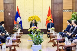 Vietnam, Laos attach importance to people-to-people diplomacy: official