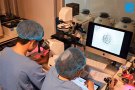 Free IVF treatment programme to help infertile couples in poverty
