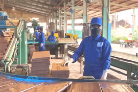 Quang Ninh determined to put COVID-19 under control for socio-economic development 