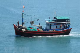 Coastal localities see better results in fighting IUU