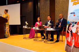  Da Nang’s tourism promoted in India