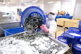 Ca Mau facilitates seafood exports to UK