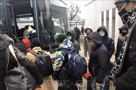Gov't approves policy to organise flights repatriating Vietnamese from Ukraine