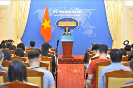 Vietnam commits to ASEAN solidarity