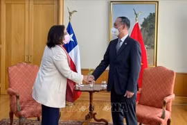 Vietnam - important partner of Chile in Southeast Asia: Chilean FM