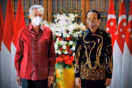 Indonesia, Singapore stress importance of ASEAN’s Five-Point Consensus on Myanmar