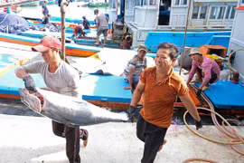Community-based groups help prevent illegal fishing