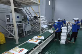 Rice exports to EU quadruple in Q1