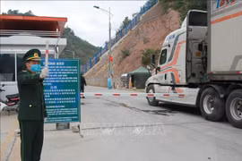 Vietnam, China look towards stronger trade ties