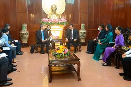 Can Tho, Japan discuss economic cooperation