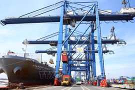 HCM City enjoys impressive growth in import-export turnover