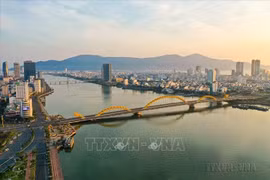 Da Nang holds potential to become ‘Silicon Valley’ of Southeast Asia: seminar