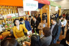 Hanoi accelerates promotion of agricultural goods