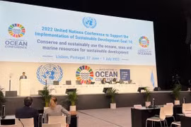 Vietnam reaffirms commitments to develop blue, sustainable oceans
