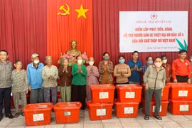 Relief handed to storm victims in Quang Ngai