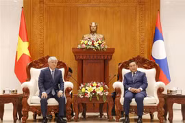 Vietnam enhances special relationship with Laos