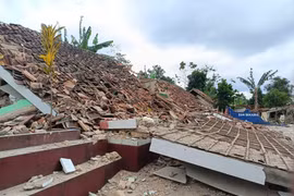 No Vietnamese casualties in Indonesia earthquake yet: ambassador