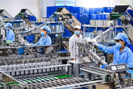 Vietnam makes firm steps in post-pandemic recovery: expert
