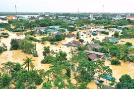 Ministry implements project to develop cities in response to climate change