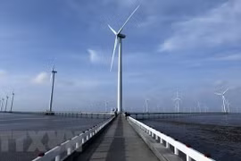 Regional cooperation key to renewable energy in Asia: experts